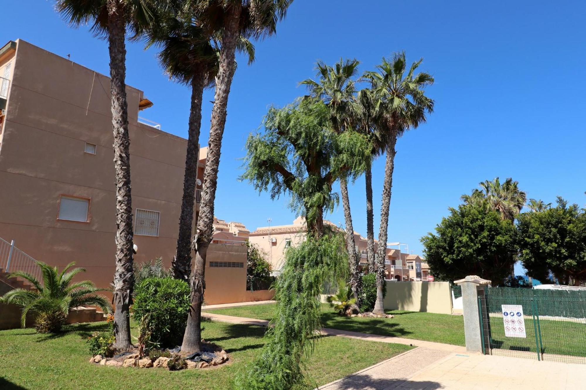 Apartamento Casa De Alba Cabo Cervera La Mata Torrevieja Buitenkant foto